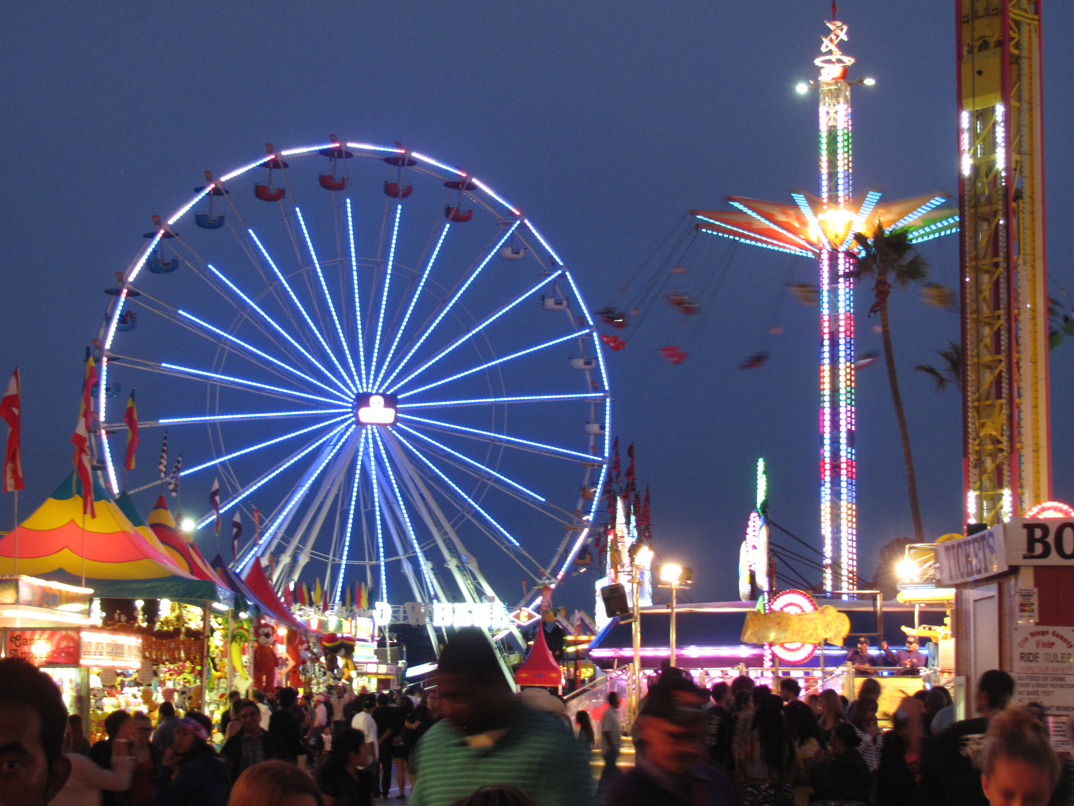 How High is Bungee Jumping at the San Diego Fair? Extreme Sports News