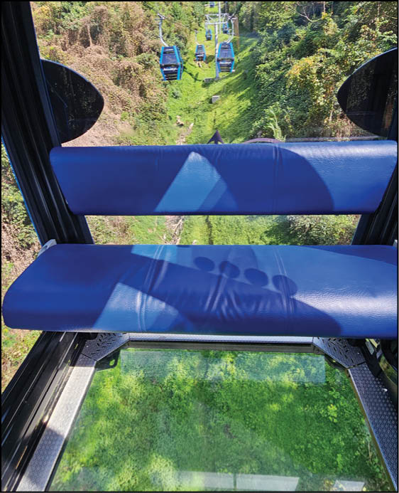A view from inside a cable car with blue seats and a glass floor showing green vegetation below and other cable cars moving along the line. Description generated by AI