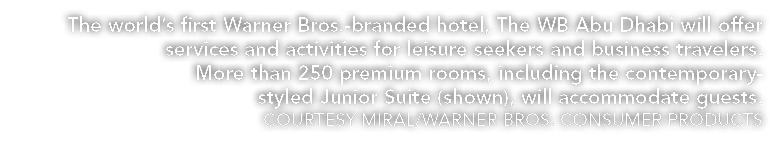 The world s first Warner Bros -branded hotel, The WB Abu Dhabi will offer services and activities for leisure seekers   
